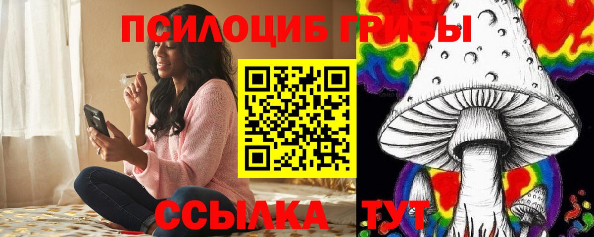 Вязники  Псилоцибиновые грибы ЛСД  Вход с VPN 